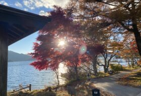 郡山の女性専用美容室fulamフラム｜髪質改善 インナーカラー ヘアエステ